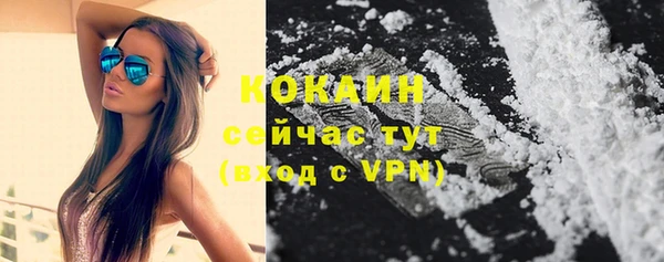 мескалин Арсеньев
